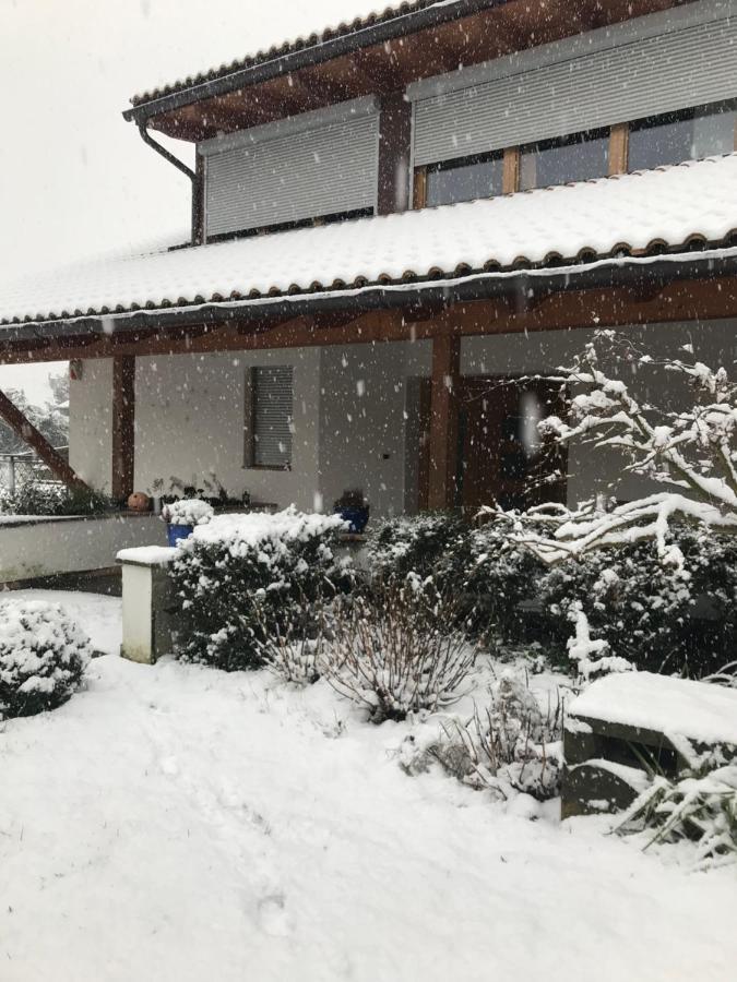 Haus Greti Daire Magre all' Adige Dış mekan fotoğraf